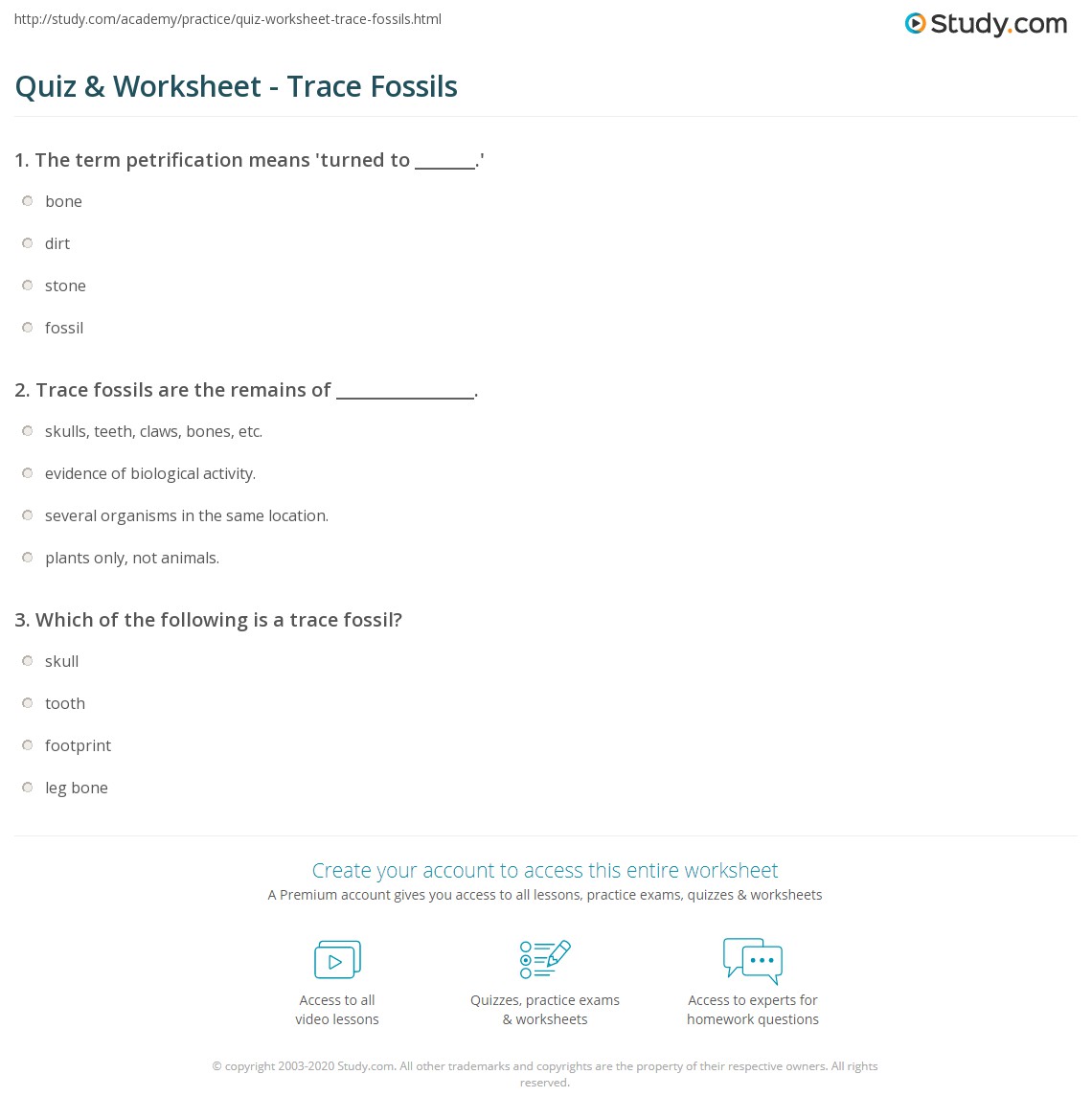traces of tracks worksheet answers