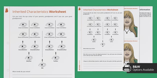 traces of tracks worksheet answers