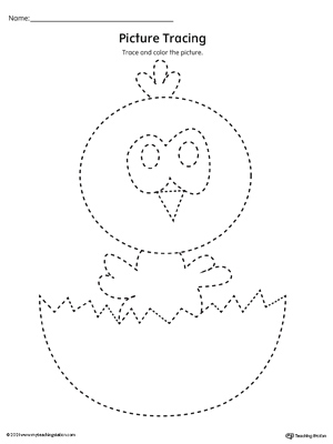 FREE* Bird Prewriting Line Tracing Worksheet | MyTeachingStation.com