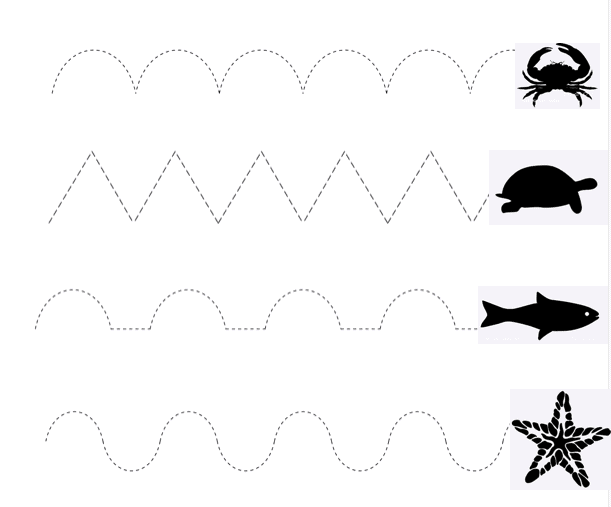 Graphics literacy: Tracing lines - Perkins School for the Blind