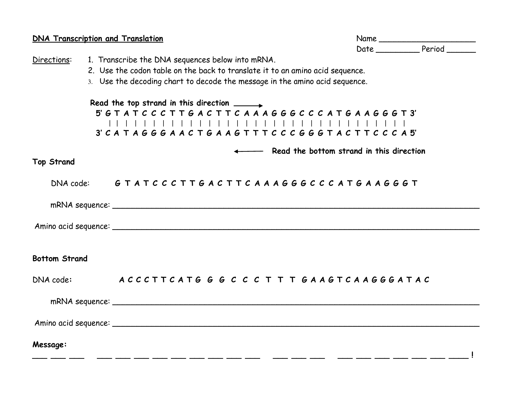 transcription worksheet biology