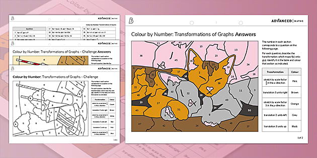 transformation of graphs worksheet