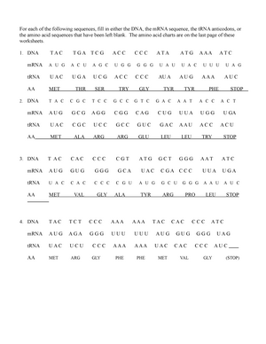Transcription and Translation Practice - For each of the following ...
