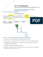 Year 12 Worksheet On Transpiration | PDF | Stoma | Physiology