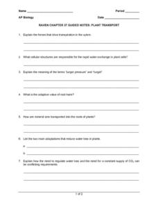 transport in plants worksheet answers