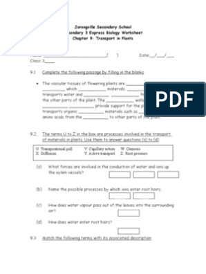 transport in plants worksheet answers