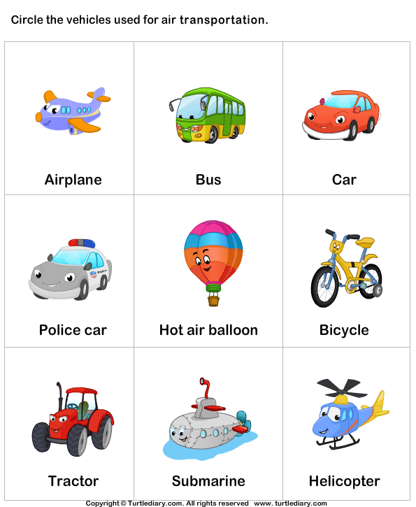 Air Transportation | Turtle Diary Worksheet