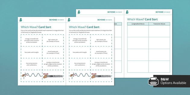 Longitudinal &  Transverse Waves Card Sort | Science | Beyond