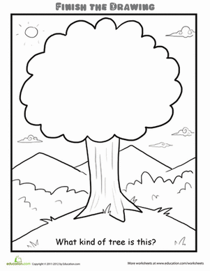 Finish the Drawing: What Kind of Tree is This? | Worksheet ...