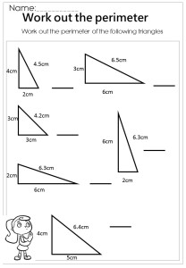 Work out the Triangle Perimeter Worksheet