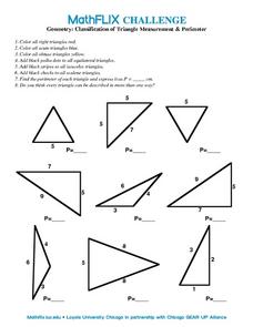 Classification of Triangle Measurement &  Perimeter Worksheet for ...