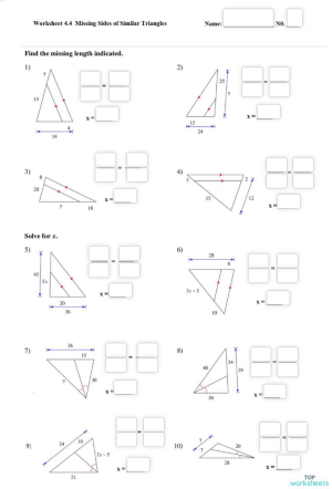 Worksheet 4.4 Similar Triangles. Interactive worksheet | TopWorksheets