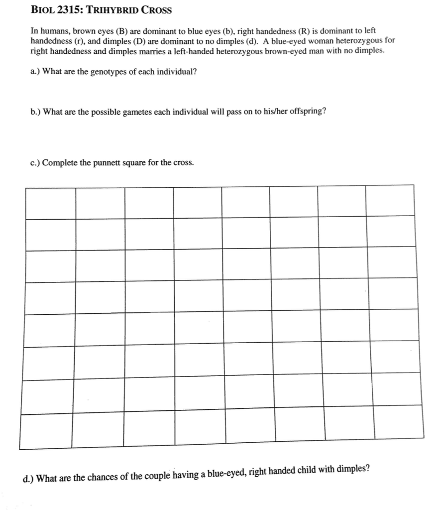 trihybrid cross worksheet