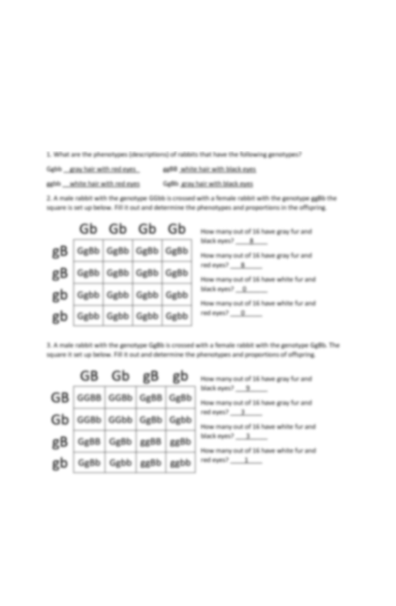 trihybrid cross worksheet