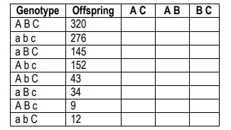trihybrid cross worksheet