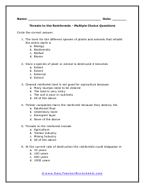 Rainforest Worksheets