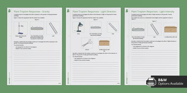 tropism worksheet