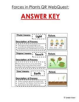 Tropisms Forces in Plants WebQuest Foldable | Webquest, Key photo ...