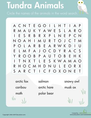 tundra worksheet