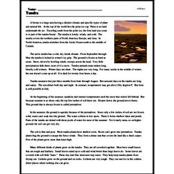 tundra worksheet