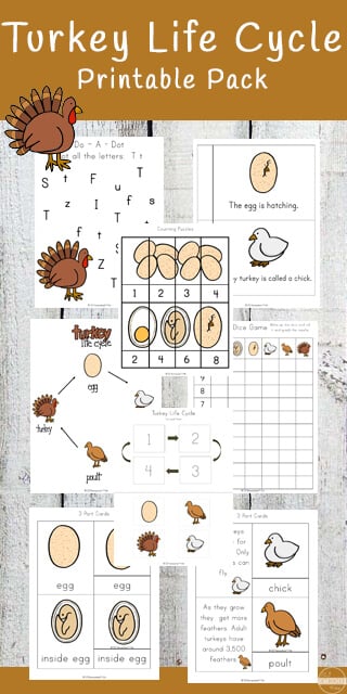 turkey worksheet preschool