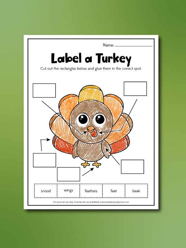 Turkey Worksheets For Kids [Free Printables]