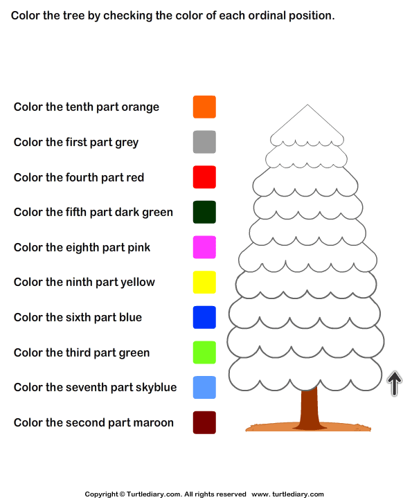 turtle diary ordinal worksheet