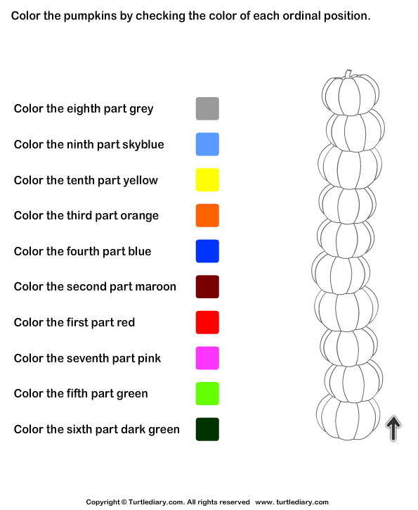 Color the Pumpkins by Checking Ordinal Position | Turtle Diary ...
