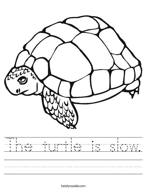 The turtle is slow Worksheet - Twisty Noodle