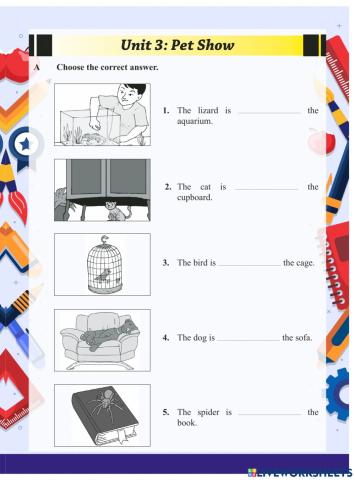 tutor usa worksheet answers