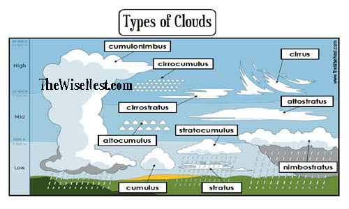 type of clouds worksheet