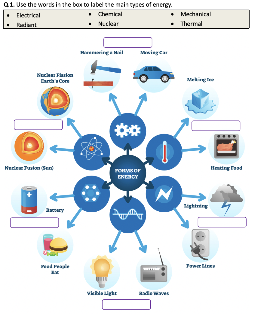 types of energy worksheet