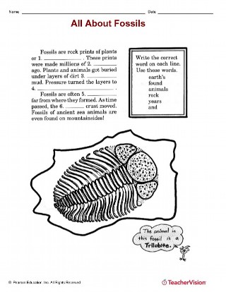 types of fossils worksheet