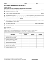 types of muscles worksheet