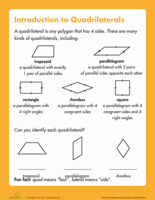 types of quadrilaterals worksheet
