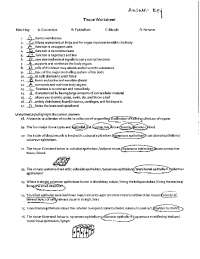 types of tissues worksheet answers