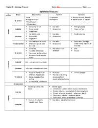 types of tissues worksheet answers