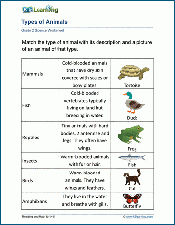 types of worksheet