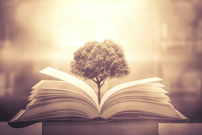 Fostering learning and effective teaching: Checking for ...