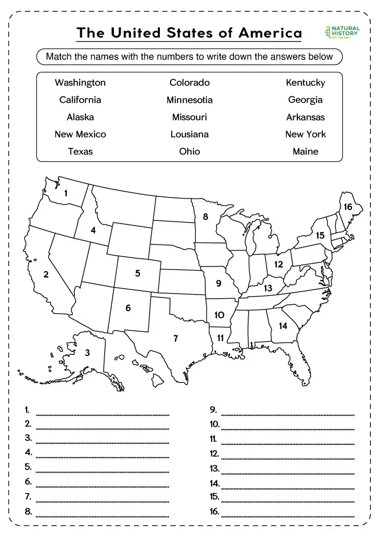 united states history worksheet pdf