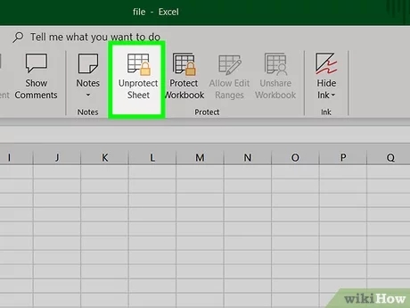 unprotect worksheet without password