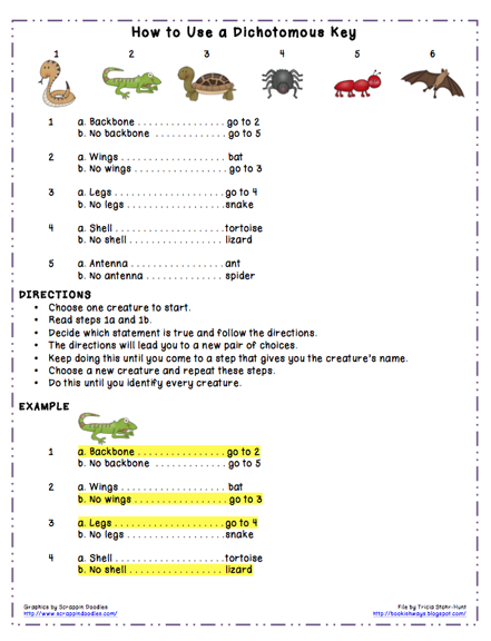 Bookish Ways in Math and Science: Monday Science Freebie ...