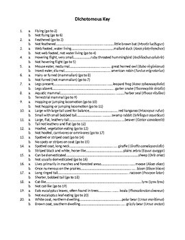 Dichotomous Key Worksheet by Good Teachers are Good Thieves | TPT