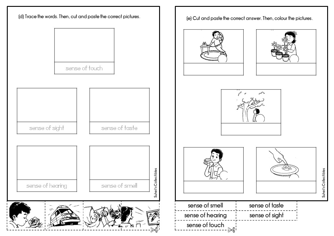 using science skills worksheet