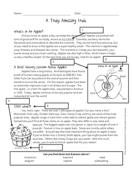 Using Text Features Worksheet - Apples by Jessica Rivera worksheets library