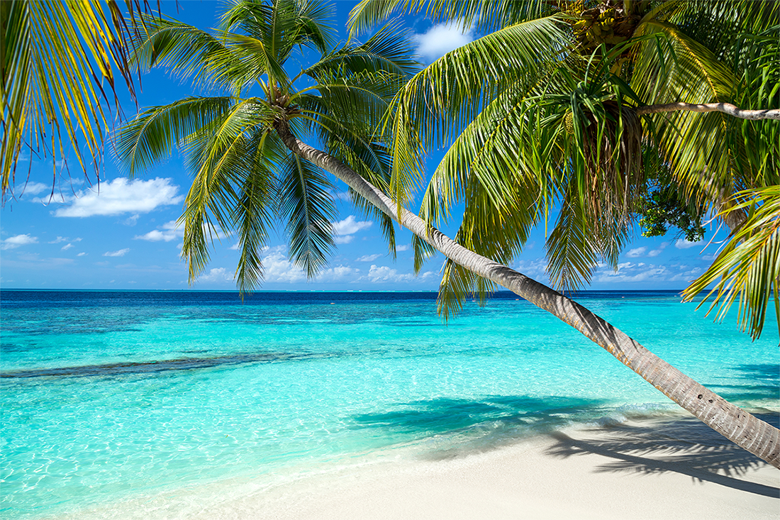 Caribbean Vacation Packages &  Deals with Airfare 2024