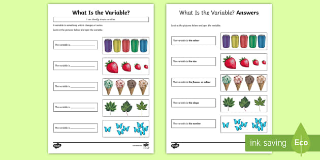 Whats the Variable? Worksheet / Worksheet (teacher made)