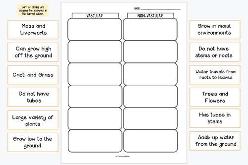Vascular and Nonvascular Plants Sort Activity by Love Learning | TPT
