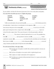 vascular vs nonvascular plants worksheet