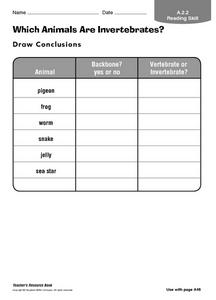 vertebrae worksheet for high school